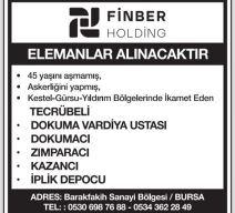 FİNBER