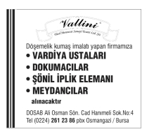 VALLİNİ